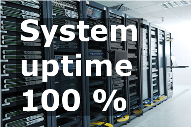 System Uptime 100% System Uptime 100%